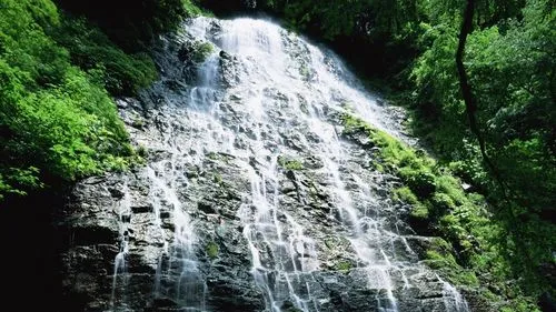 高端独特